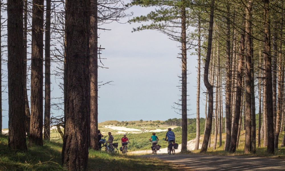 De  Noord-hollandse kuststrook is één groot beschermd natuurgebied bestaande uit drie prachtige en zeer gevarieerde natuurreservaten, uniek binnen Nederland en Europa. Omdat de samenstelling van de grond zeer verschillend is, hebben zij elk hun eigen karakter. Het hele gebied is volledig ontsloten door een uitgebreid netwerk van wandel- en fietspaden. Een waar paradijs voor wandelaars, fietsers,  en natuurliefhebbers.