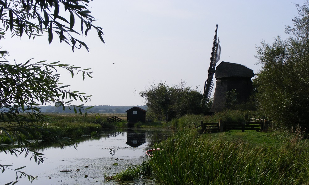 damlandermolen1000x600 natuur bergen vakantiehuis bergen nh